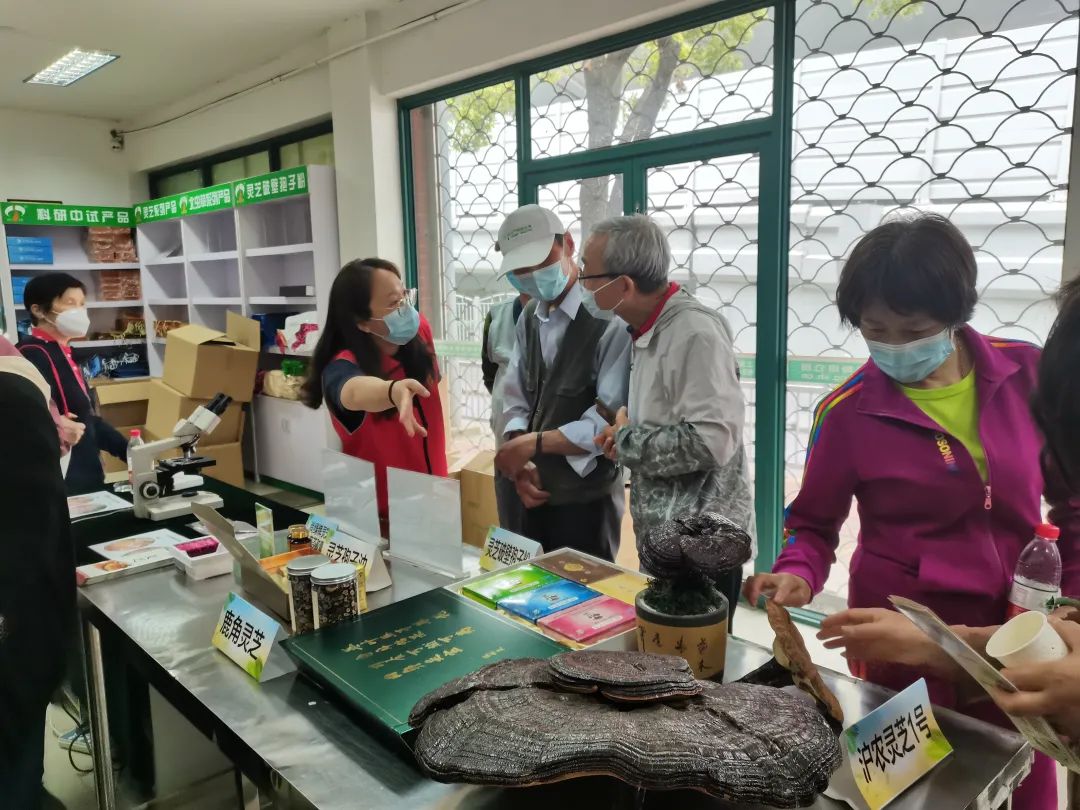 尚綠靈芝亮相上海農(nóng)科院科技周，聚焦?fàn)I養(yǎng)健康，引領(lǐng)菌菇消費(fèi)新風(fēng)尚